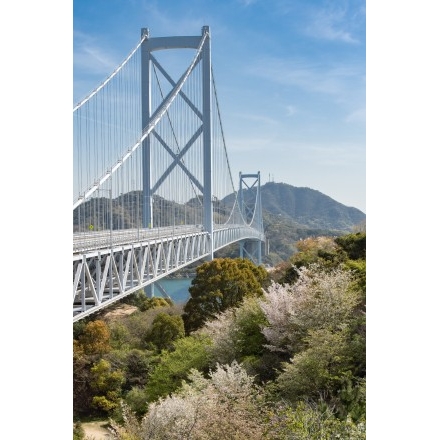 桜としまなみ海道因島大橋