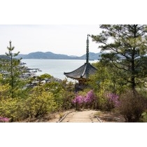 向上寺三重塔越しの風景