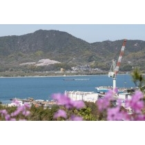 潮音山公園から見る佐木島の塔の峰千本桜