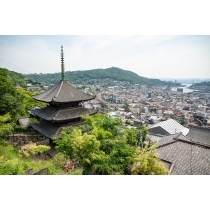 天寧寺三重塔越しに見る初夏の風景