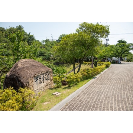 初夏の千光寺公園