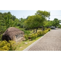 初夏の千光寺公園