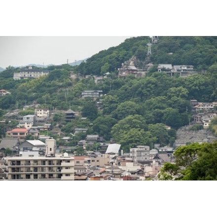 No.5098 海龍寺境内から見る千光寺一帯