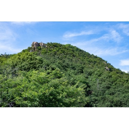 高見山中腹から見る高見山山頂