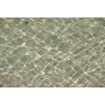 夏の水面のイメージ