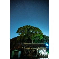 浦崎・厳島神社の夜景