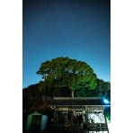 浦崎・厳島神社の夜景