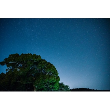 浦崎・厳島神社の夜景