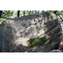 文学のこみち