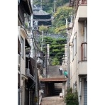 天寧寺の参道