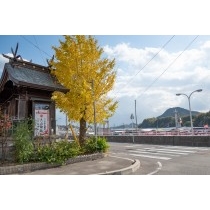 戎神社の紅葉