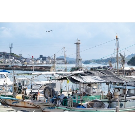 因島土生町の漁港の風景