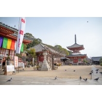 新春の浄土寺