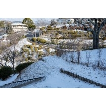 千光寺公園の雪景色