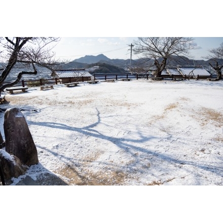 雪化粧をした旧共楽園