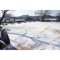 雪化粧をした旧共楽園