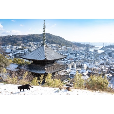 天寧寺三重塔越しの尾道の雪景色