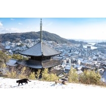 天寧寺三重塔越しの尾道の雪景色