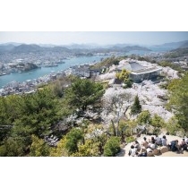 リニューアルした千光寺公園頂上展望台からの風景