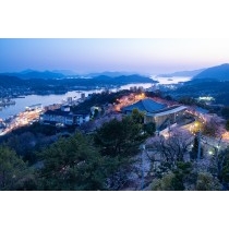 千光寺公園頂上展望台から見た千光寺公園の夜桜