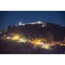 向島から見る夜の千光寺公園頂上展望台