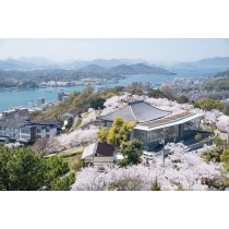 桜満開の千光寺公園