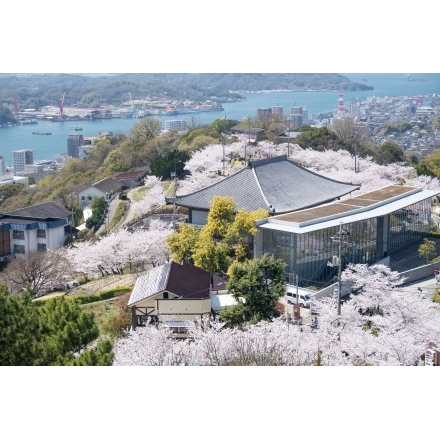 桜満開の千光寺公園