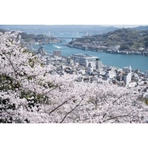 千光寺から見る桜越しの尾道の街並み