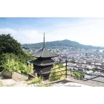 天寧寺三重塔越しに見る風景