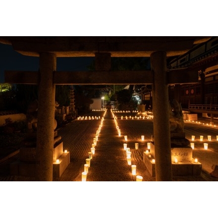 第17回尾道灯りまつり（妙宣寺）