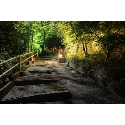 夜の千光寺公園へ続く坂道