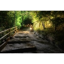 夜の千光寺公園へ続く坂道