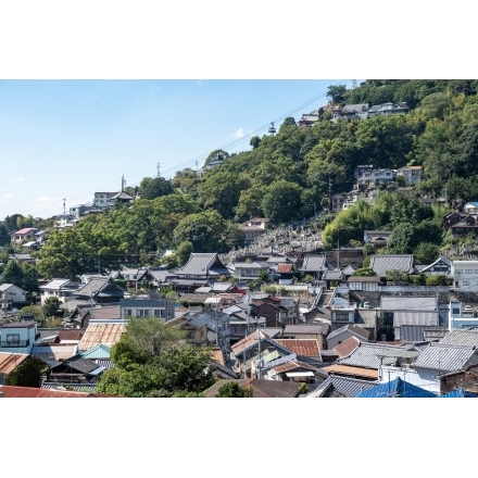 大山寺付近から見る風景