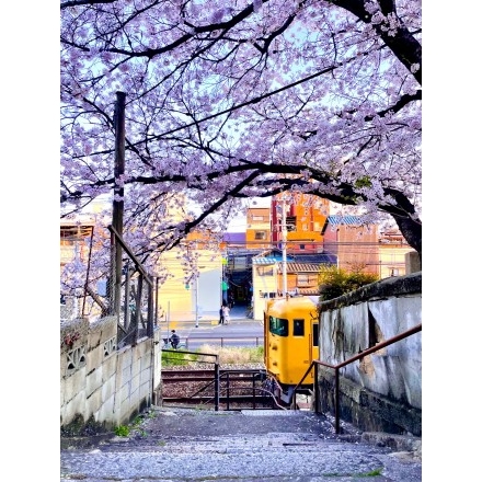 「桜の木の下で」