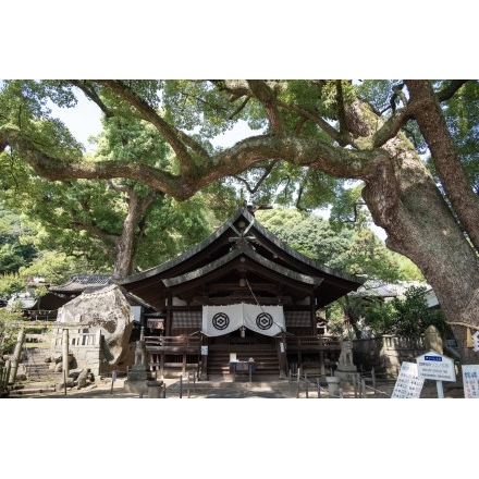 夏の艮神社