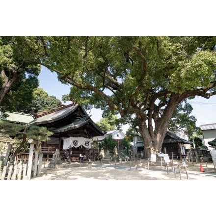 夏の艮神社