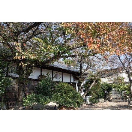 秋の信行寺