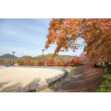 因島運動公園の紅葉