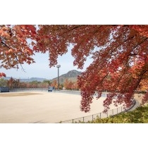 因島運動公園の紅葉