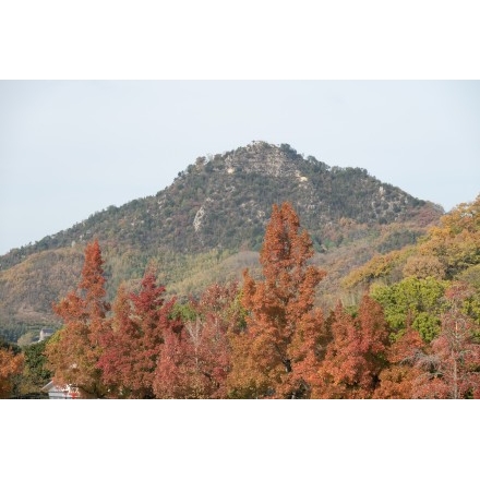 因島運動公園から見る白滝山