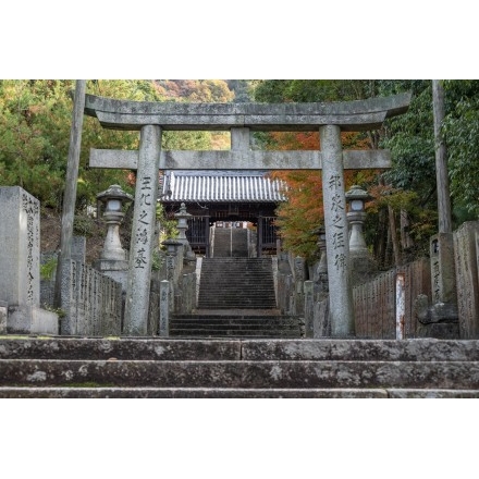熊箇原八幡神社の参道