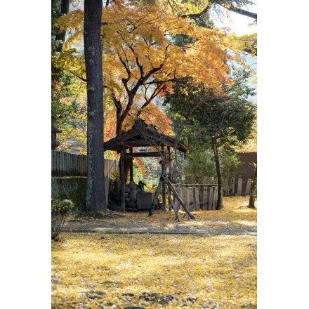 御調町大蔵地区の艮神社の紅葉