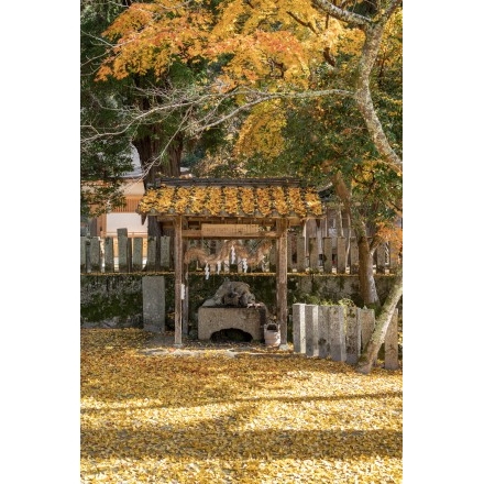 御調町大蔵地区の艮神社の紅葉