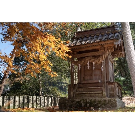 御調町大蔵地区の艮神社の紅葉