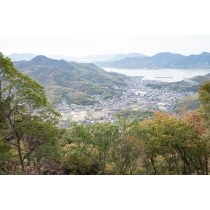 白滝山から見る因島重井町の街並み