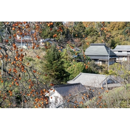 秋の菅野地区の風景