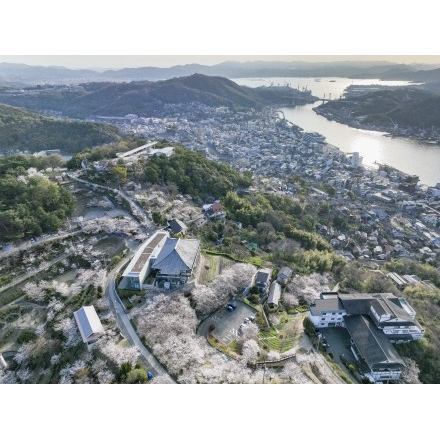 【空撮】桜咲く千光寺公園と朝日を浴びる尾道水道