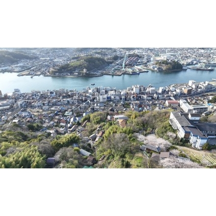 【空撮】桜咲く千光寺公園と尾道市街地