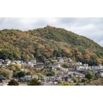 紅葉した浄土寺山