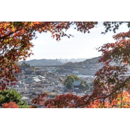 紅葉越しに見るしまなみ海道新尾道大橋